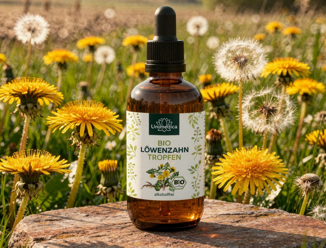 Bio Löwenzahn Tropfen - alkoholfrei - 100 ml - von Unimedica