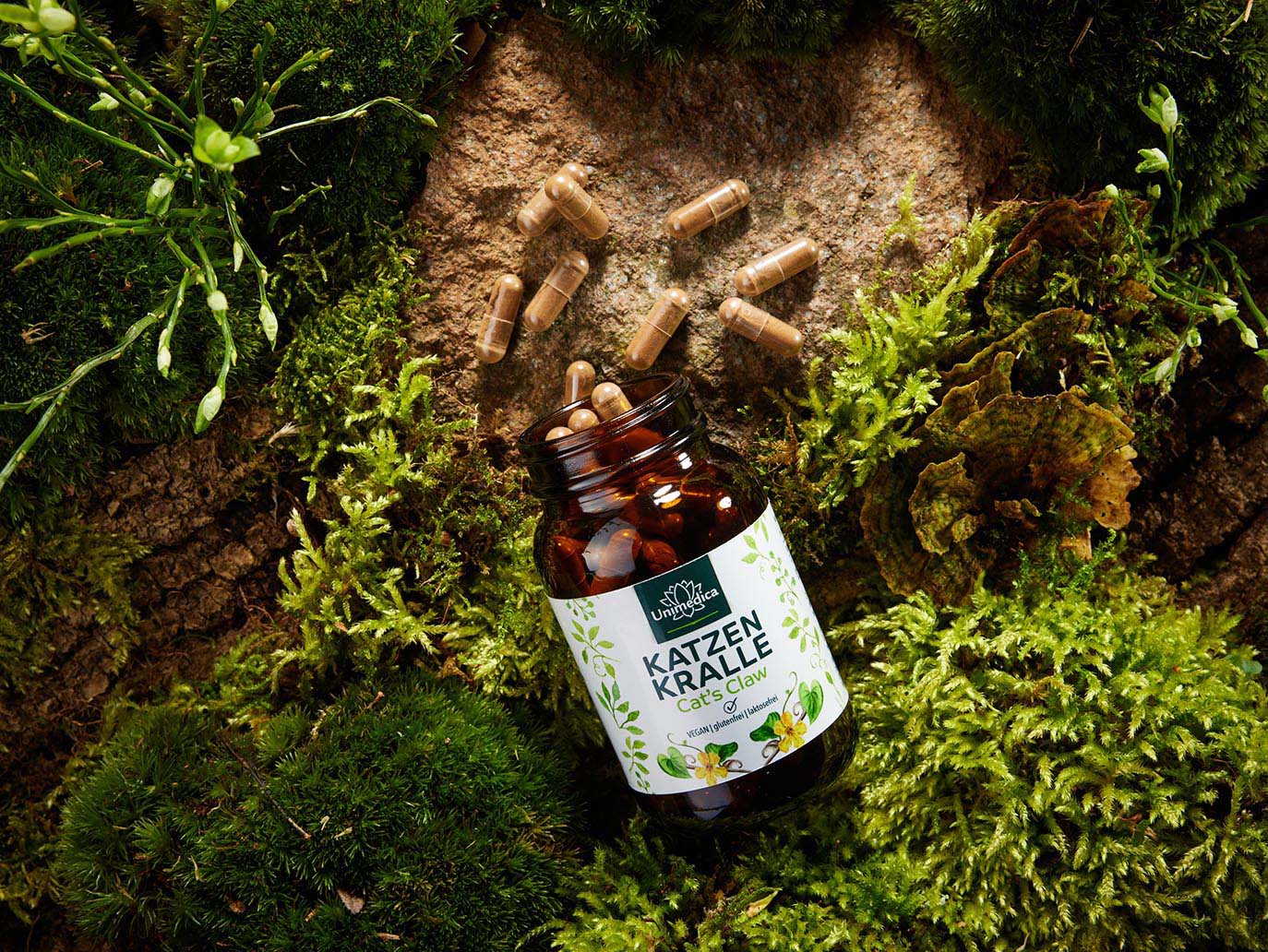 Cat´s Claw - 1000 mg per daily dose - 90 capsules - from Unimedica