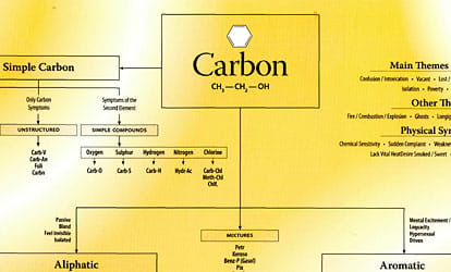 Chart of Carbon Remedies