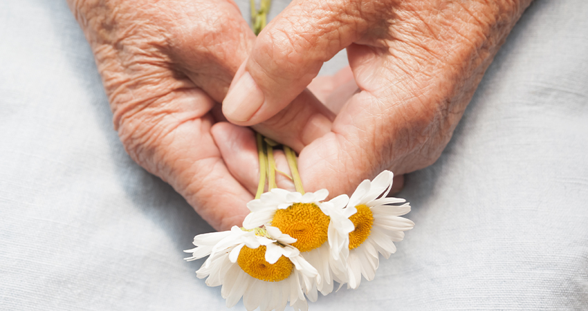 Durée de vie (Life Span) et durée de vie en bonne santé (Health Span) dans la longévité