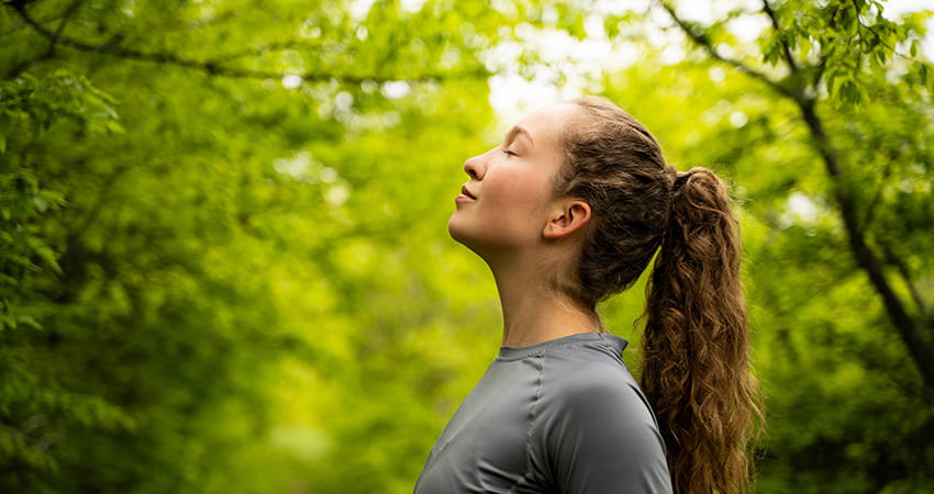 Achtsamkeit und Verbindung von Psyche und Immunsystem