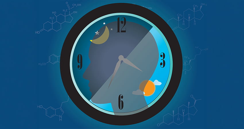 Innere Uhr und circadianer Rhythmus – Standardzeit entspricht eher dem natürlichen Tagesrhythmus