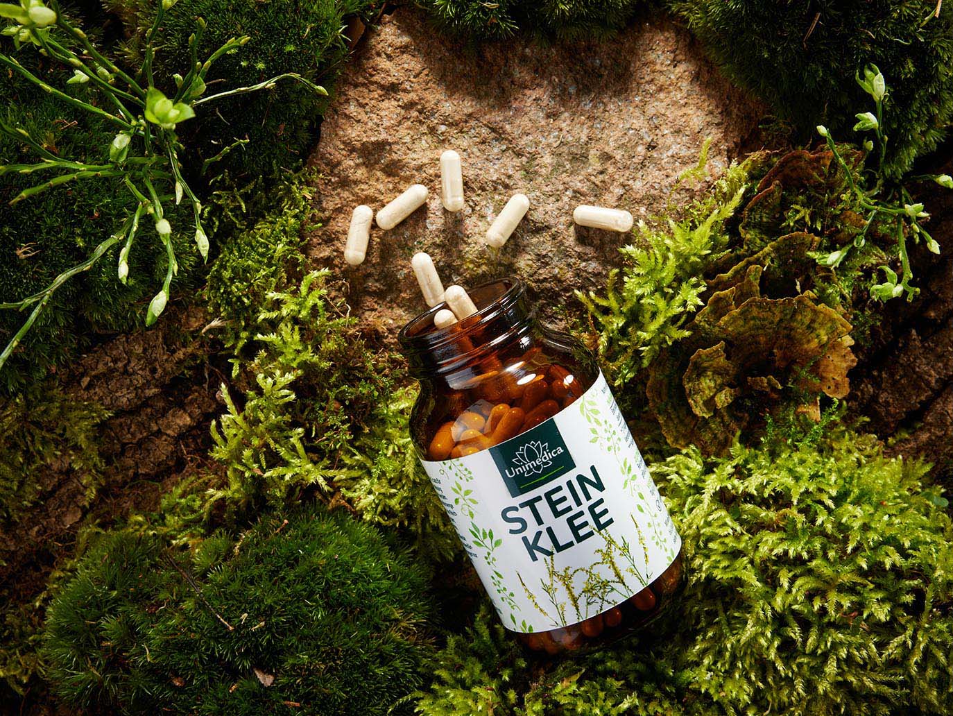 Melilot extract - 30 mg daily dose (1 capsule) - with 18% coumarin - 180 capsules - by Unimedica