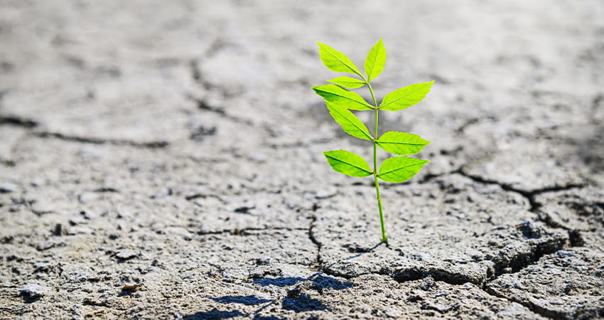 Resilienz trotz Alltagsstress und Belastungen