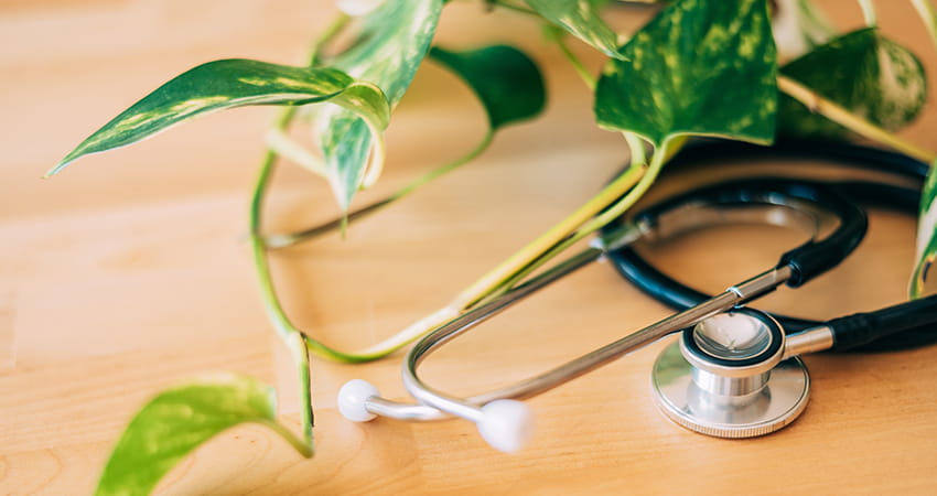 Ganzheitliche Betrachtung von körperlicher und psychischer Gesundheit