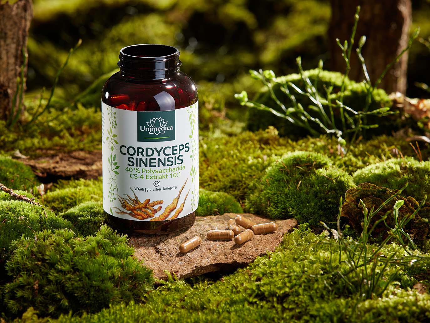 Bio Cordyceps - 1.000 mg pro Tagesdosis (2 Kapseln) - mit 30 % Polysacchariden - hochdosiert - 90 Kapseln - von Unimedica
