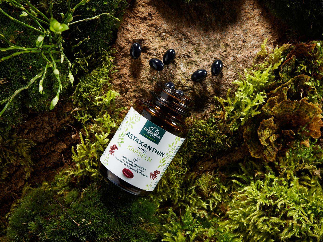 Astaxanthine, AstaPure®, 60 capsules molles