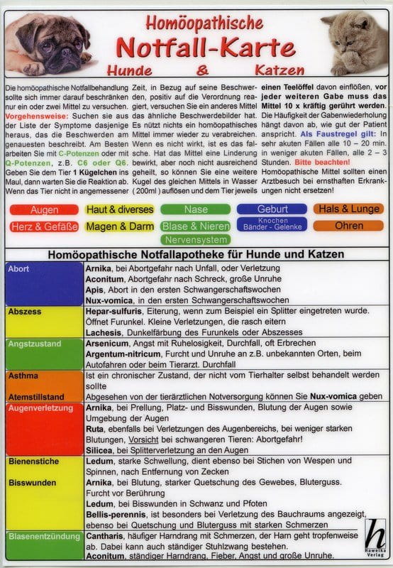 Homöopathische Notfallkarte für Hunde & Katzen - Tierheilkunde-Karte A5