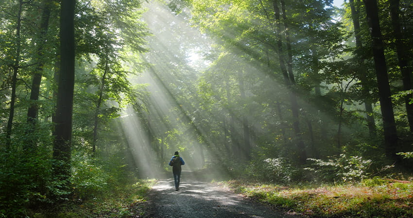 Körperliche Gesundheit, soziale Bindungen und Selbstfürsorge als Basis der Resilienz
