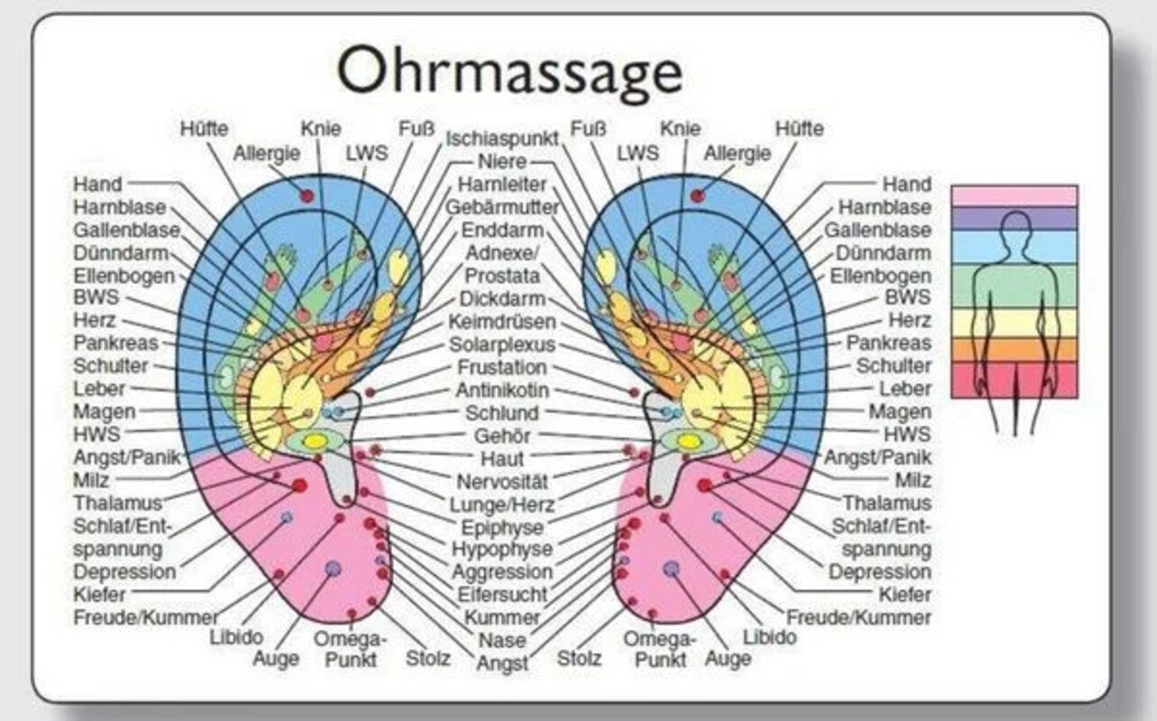 Reflexzonenmassagekarte "Ohr"