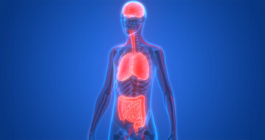 Stille Entzündungen und Zivilisationskrankheiten