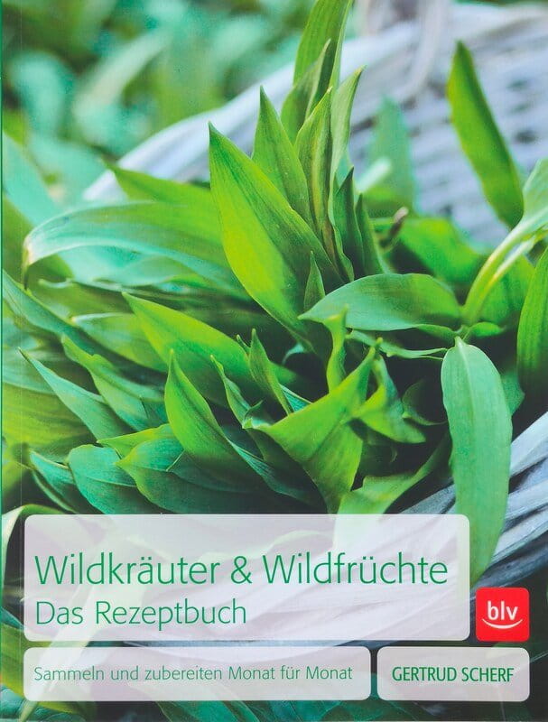 Wildkräuter & Wildfrüchte - das Rezeptbuch