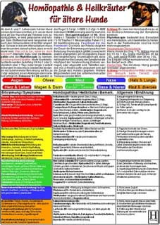 Homöopathie & Heilkräuter für "ältere" Hunde