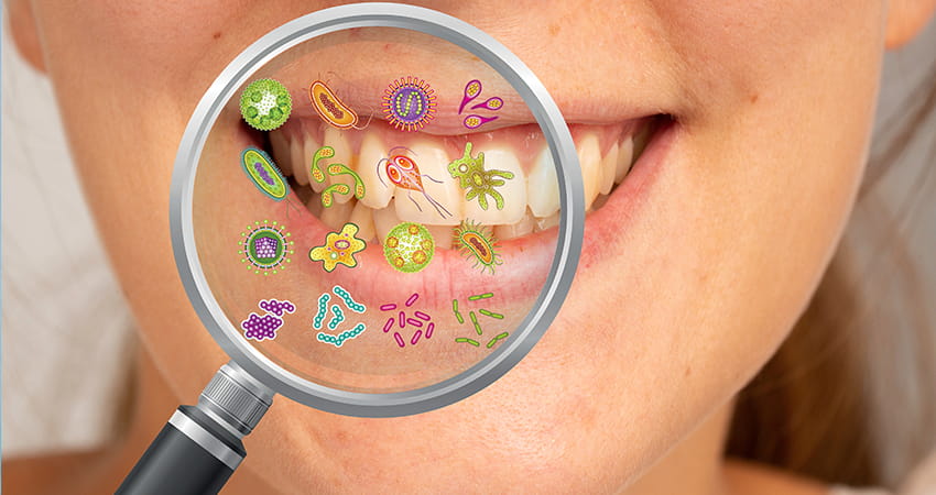 Orales und intestinales Mikrobiom im Zusammenhang