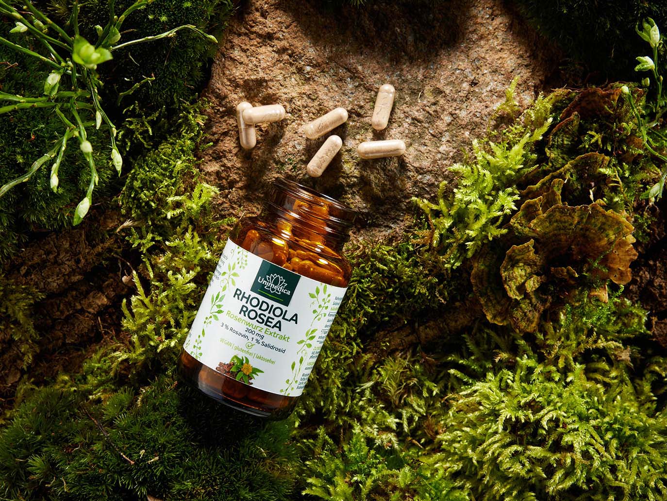 Rhodiola Rosea  Extrait d'orpin rose - 200 mg - 90 gélules - par Unimedica