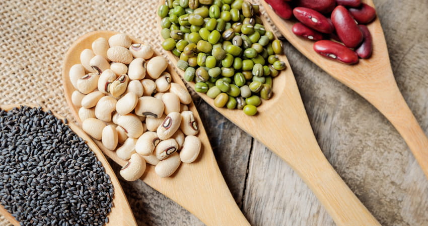 Balanced diet with vegetables, fruit and sufficient fluids during the menopausal transition