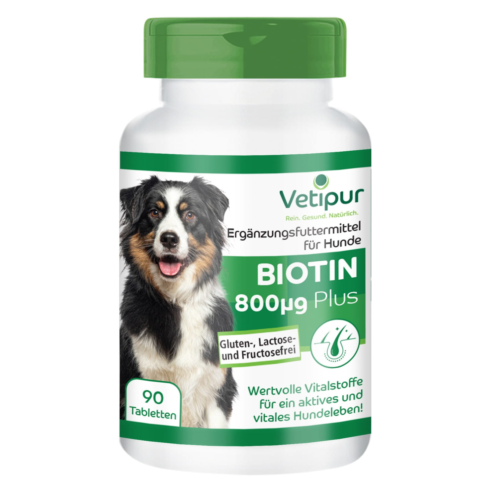 Biotin 800 μg Plus für Hunde - Vetipur - 90 Tabletten