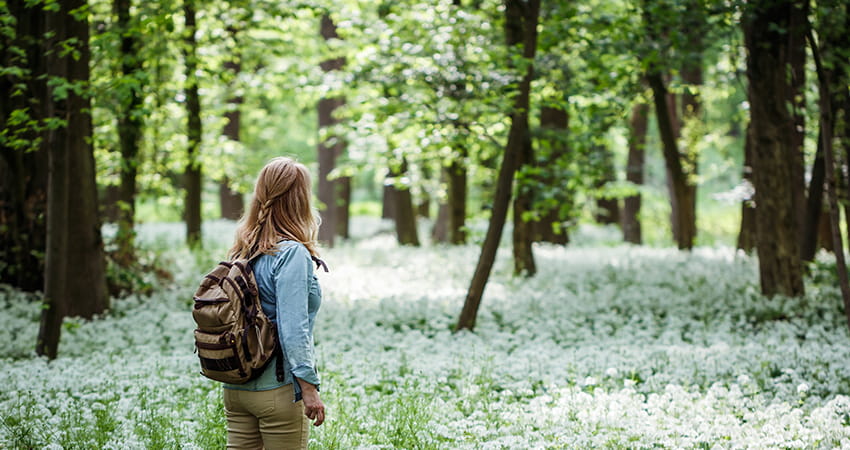 Frühlingswanderung und aktive Maßnahmen gegen Frühjahrsmüdigkeit