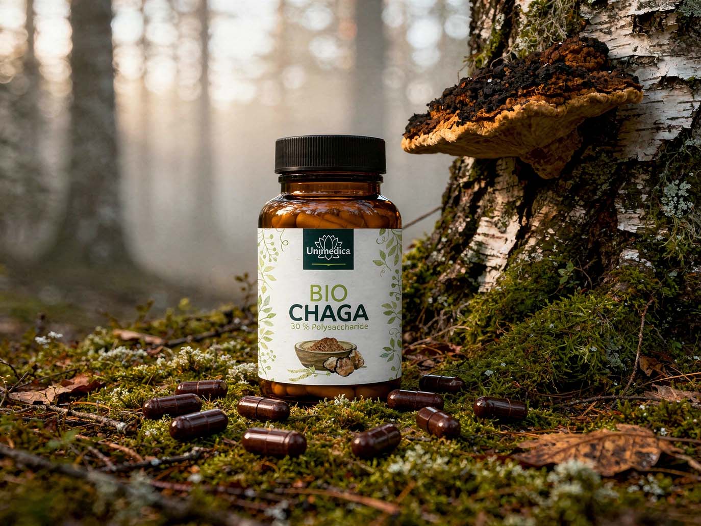 Bio Chaga - 1000 mg pro Tagesdosis (2 Kapseln) - Extrakt mit 30 % Polysacchariden - hochdosiert - 90 Kapseln - von Unimedica