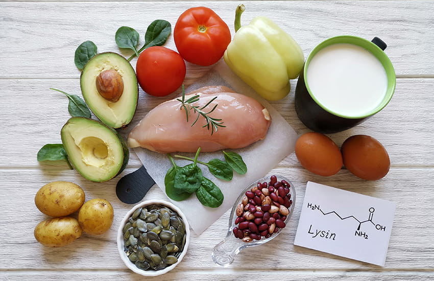 Proteinreiche Lebensmittel – Beispiel für lysinreiche Nahrungsmittel.