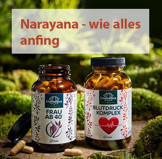 Geschichte vom Narayana Verlag