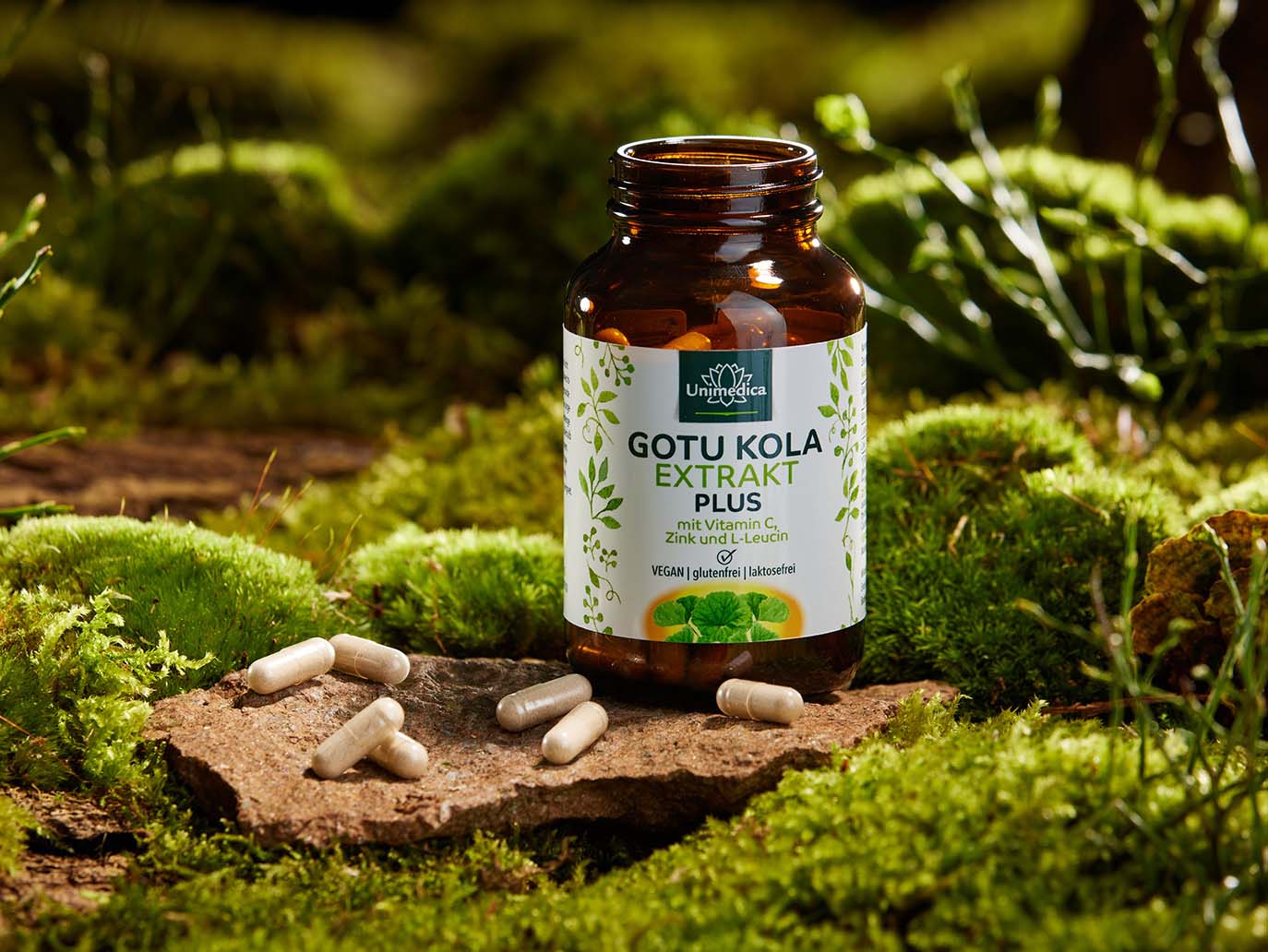 Gotu Kola Extract Plus - with vitamin C, zinc and L‑leucine - 120 capsules - by Unimedica