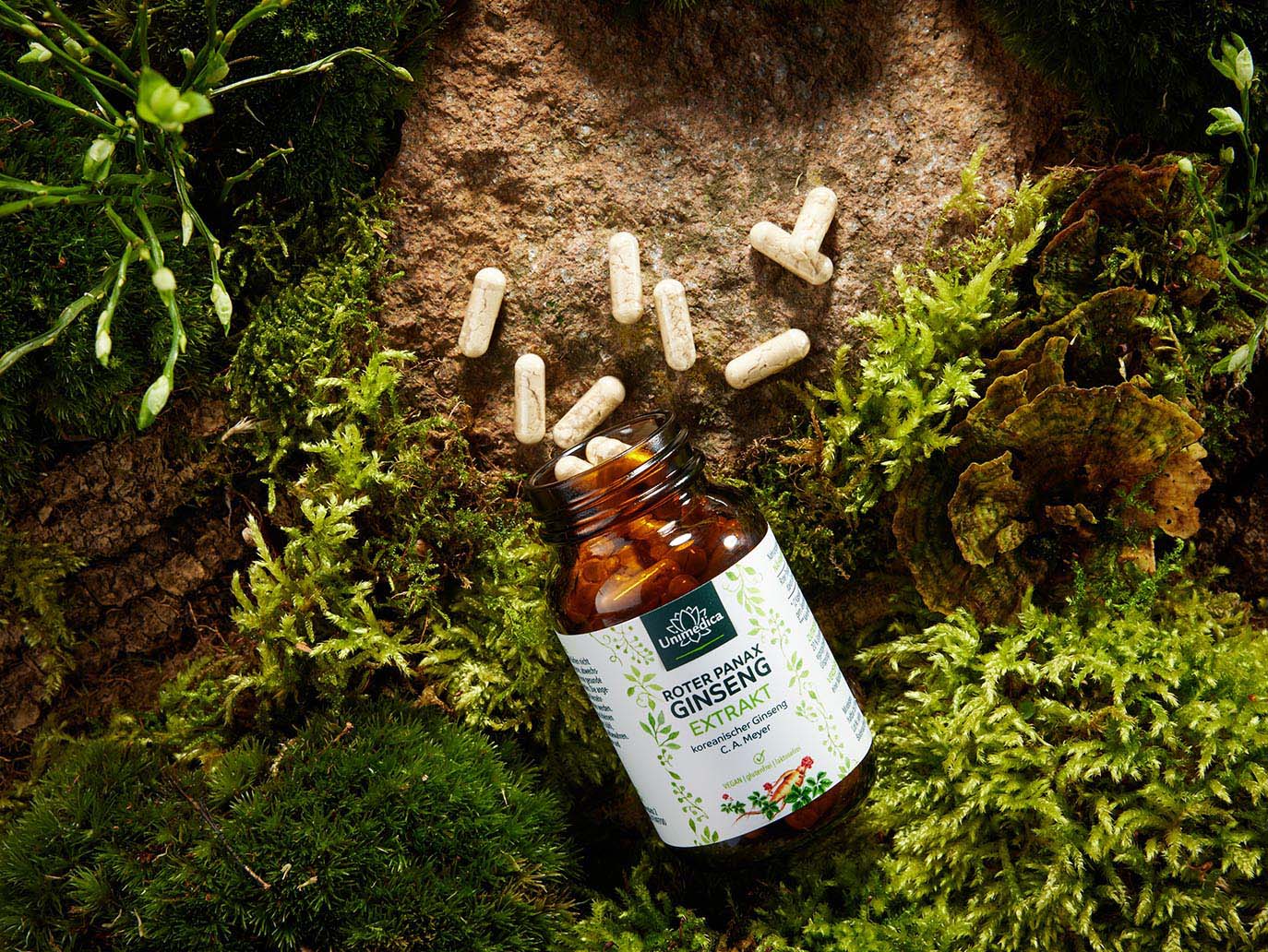 Red Panax Ginseng Extract - Korean Ginseng C.A. Meyer - 480 mg per daily dose (2 capsules) - 20 % ginsenosides - 100 capsules - by Unimedica