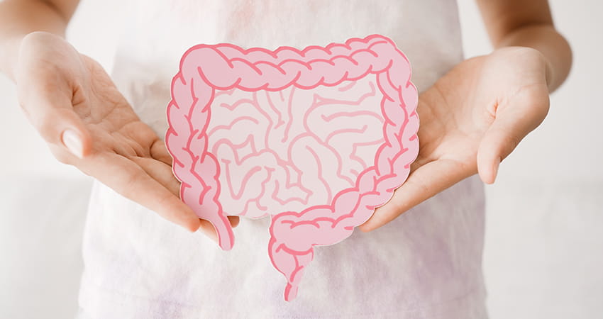 Darmmikrobiom und Ballaststoffe – Einfluss auf Gesundheit und Stoffwechsel