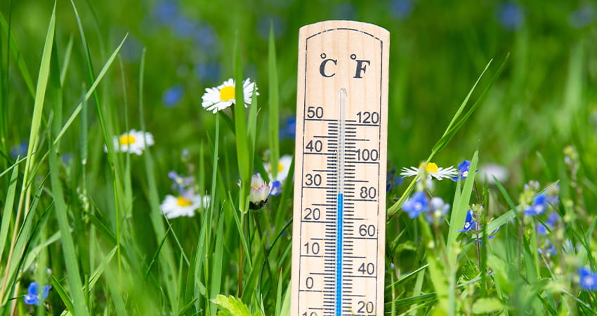 Heat, high humidity and warm nights intensify hot flushes in summer