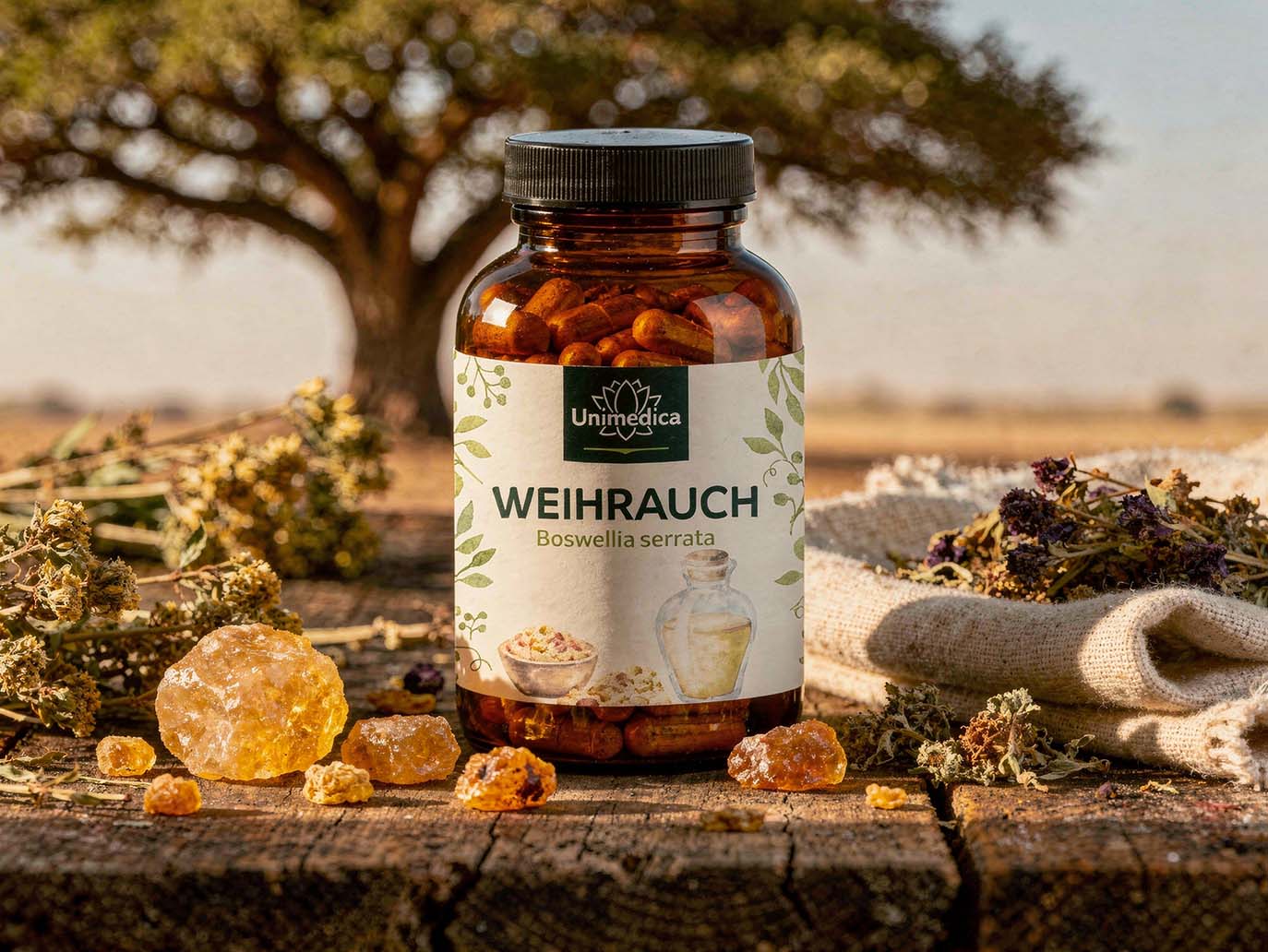 Extrait d'oliban - 85 % d'acides boswelliques - 375 mg par gélule - 240 gélules - par Unimedica
