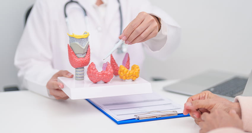 Genetische Faktoren und Auslöser bei Hashimoto